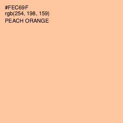 #FEC69F - Peach Orange Color Image